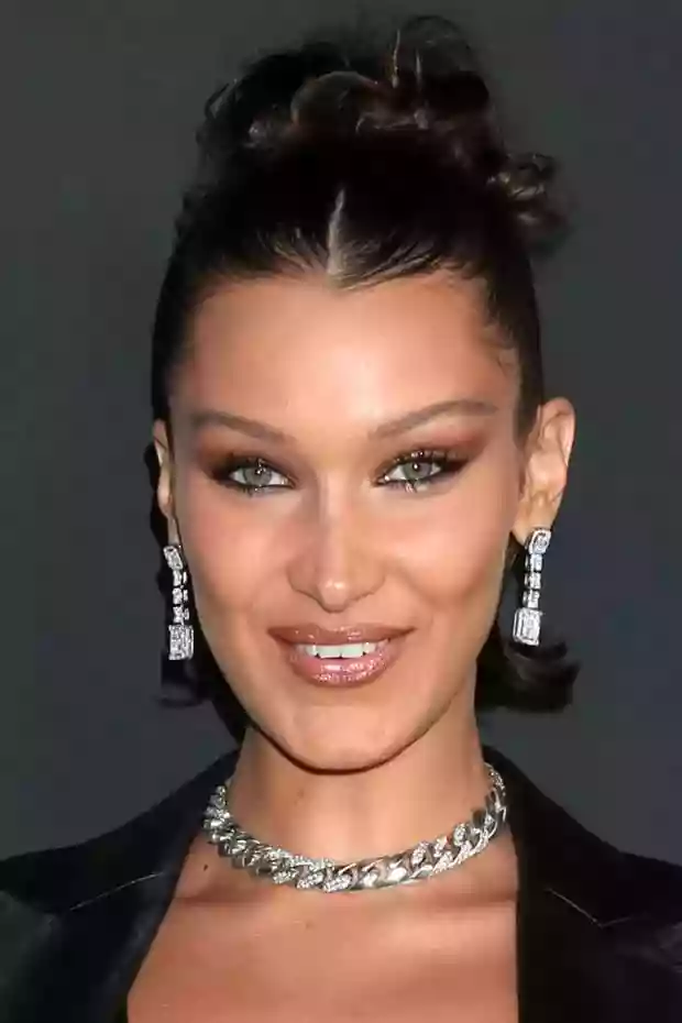 bella hadid 2020